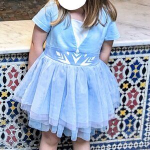 Taylor Joelle Elsa dress